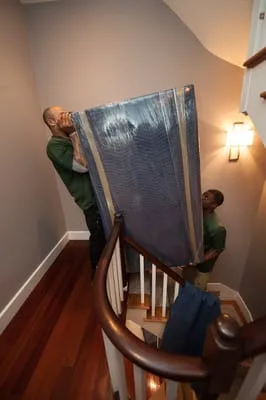 Mastodon Moving photo 5